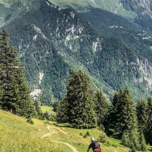 1 Stuart Raison 31 Start Raison, tax credits consultant